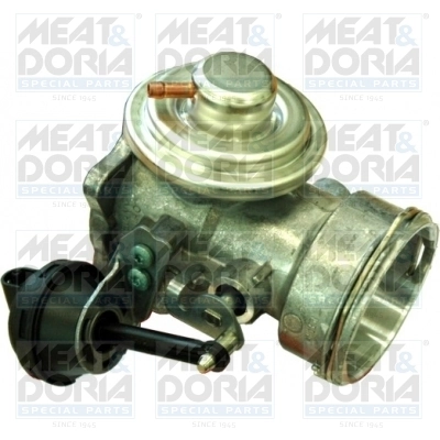 EGR Valve